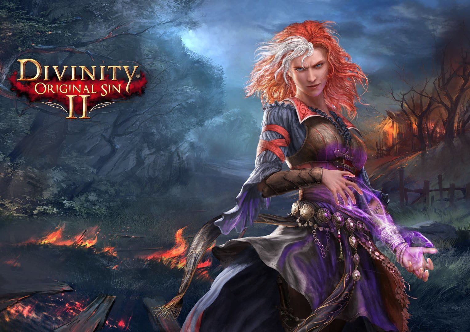 Bild från Divinity: Original Sin II