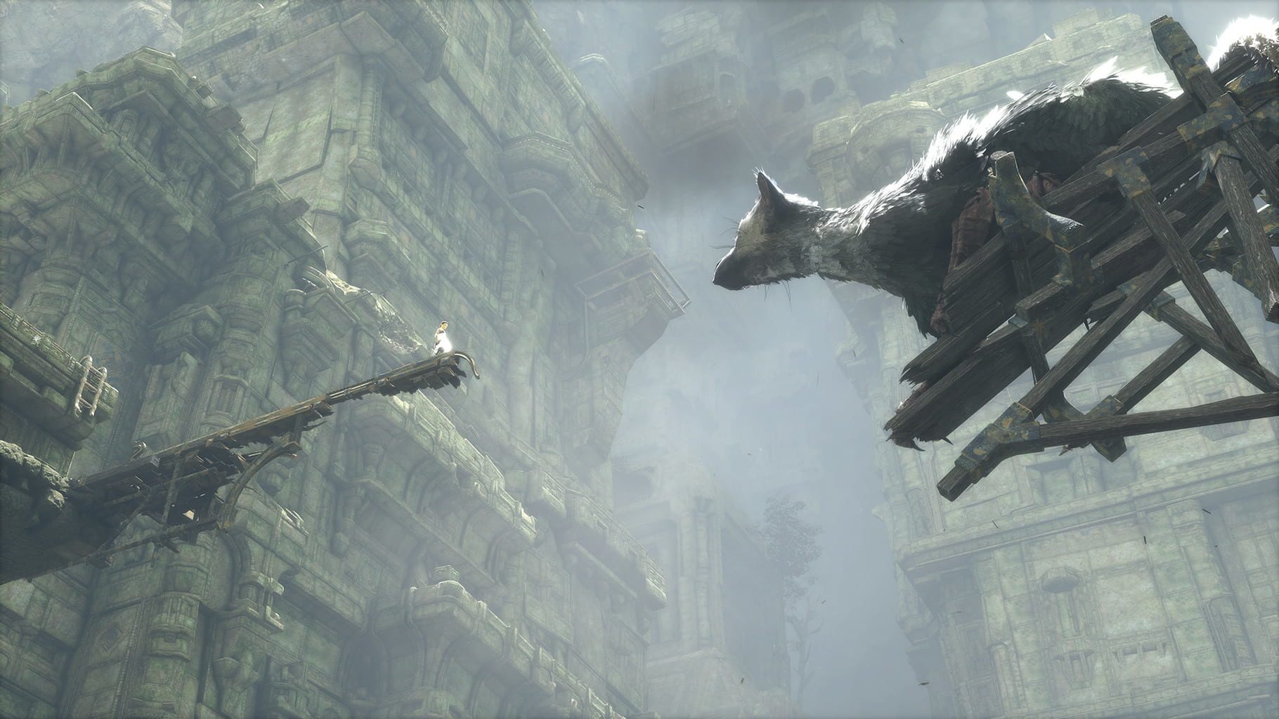 Bild från The Last Guardian