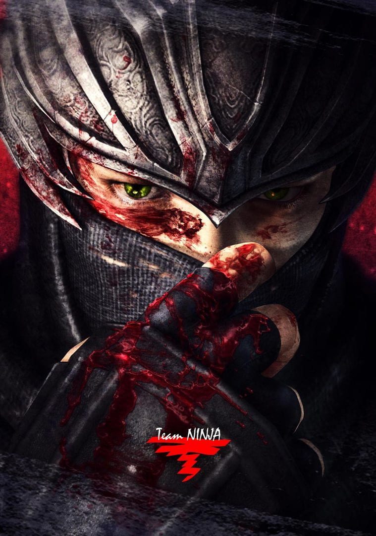 Bild från Ninja Gaiden 3