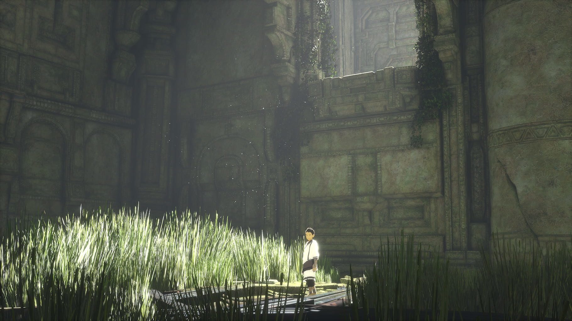 Bild från The Last Guardian