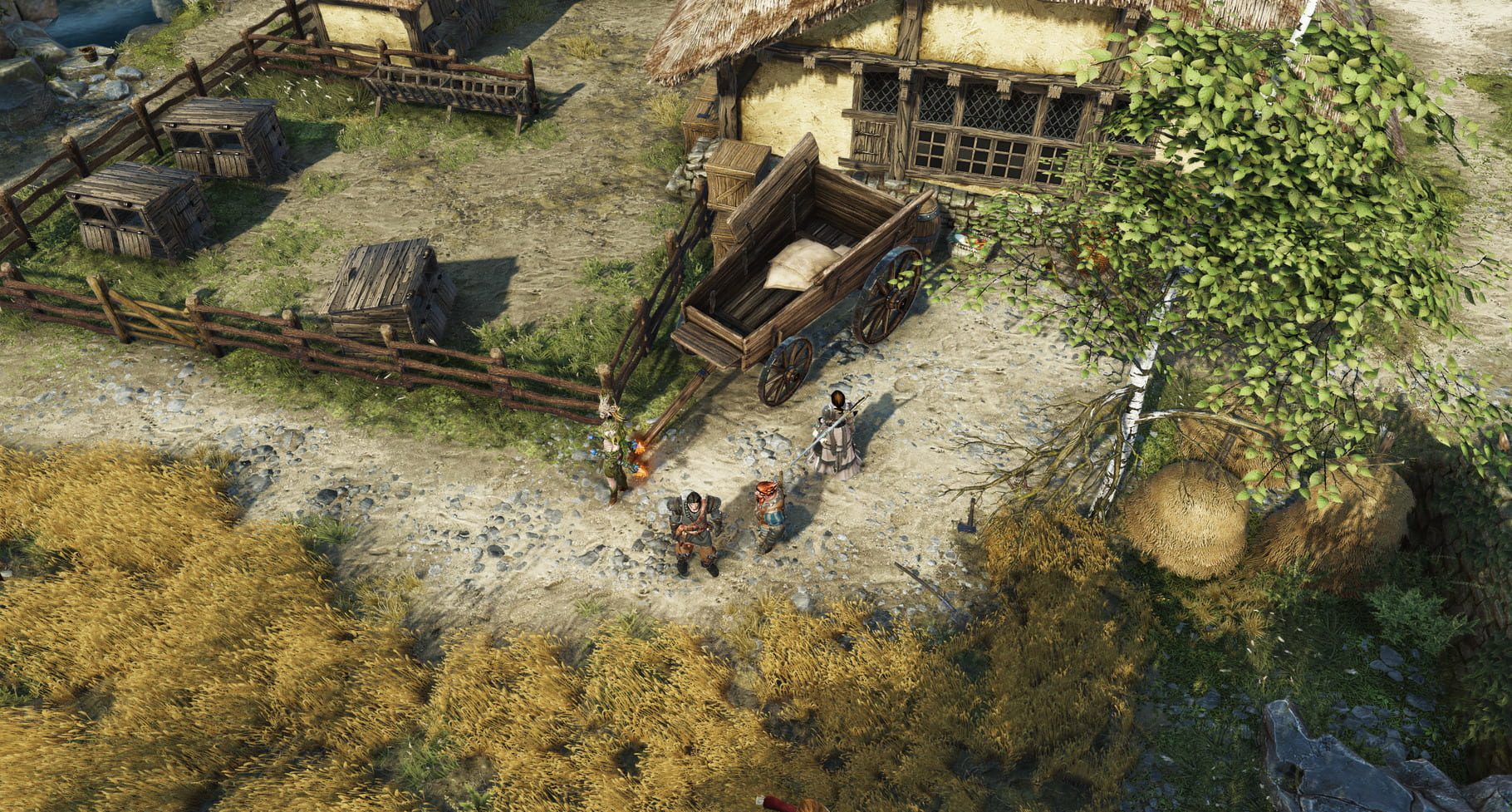 Bild från Divinity: Original Sin II