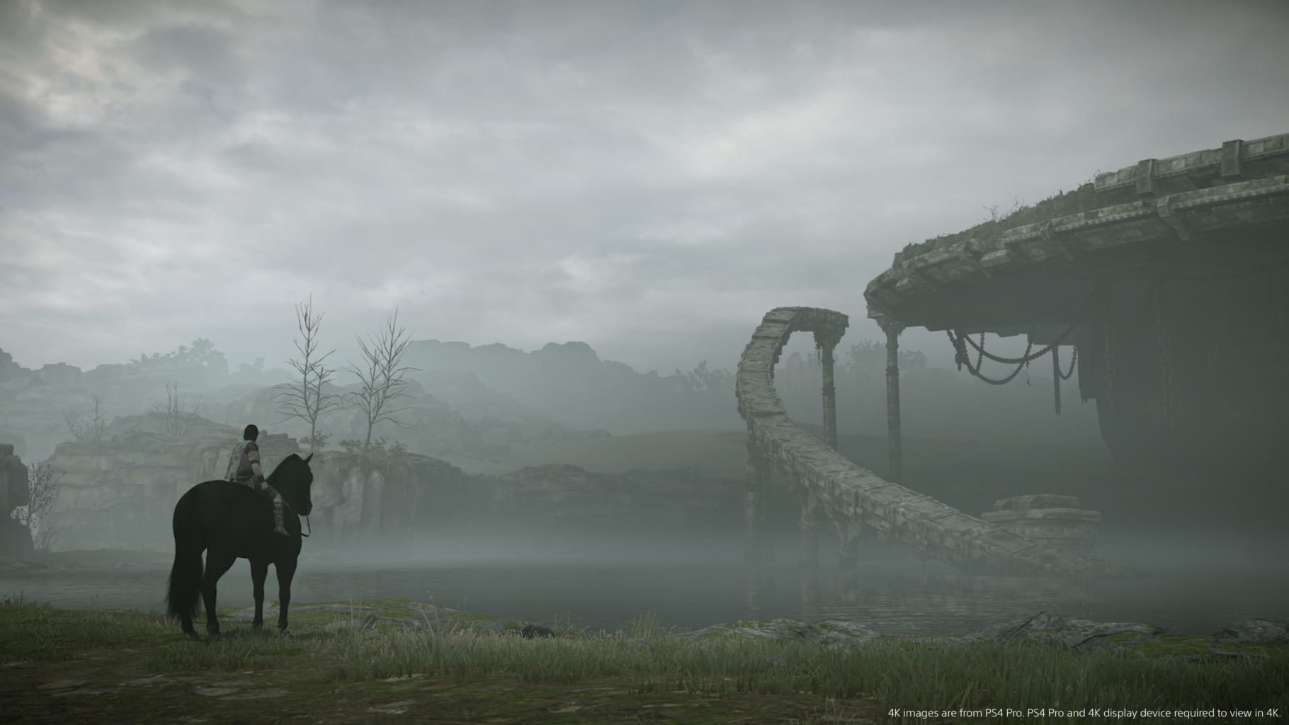 Bild från Shadow of the Colossus