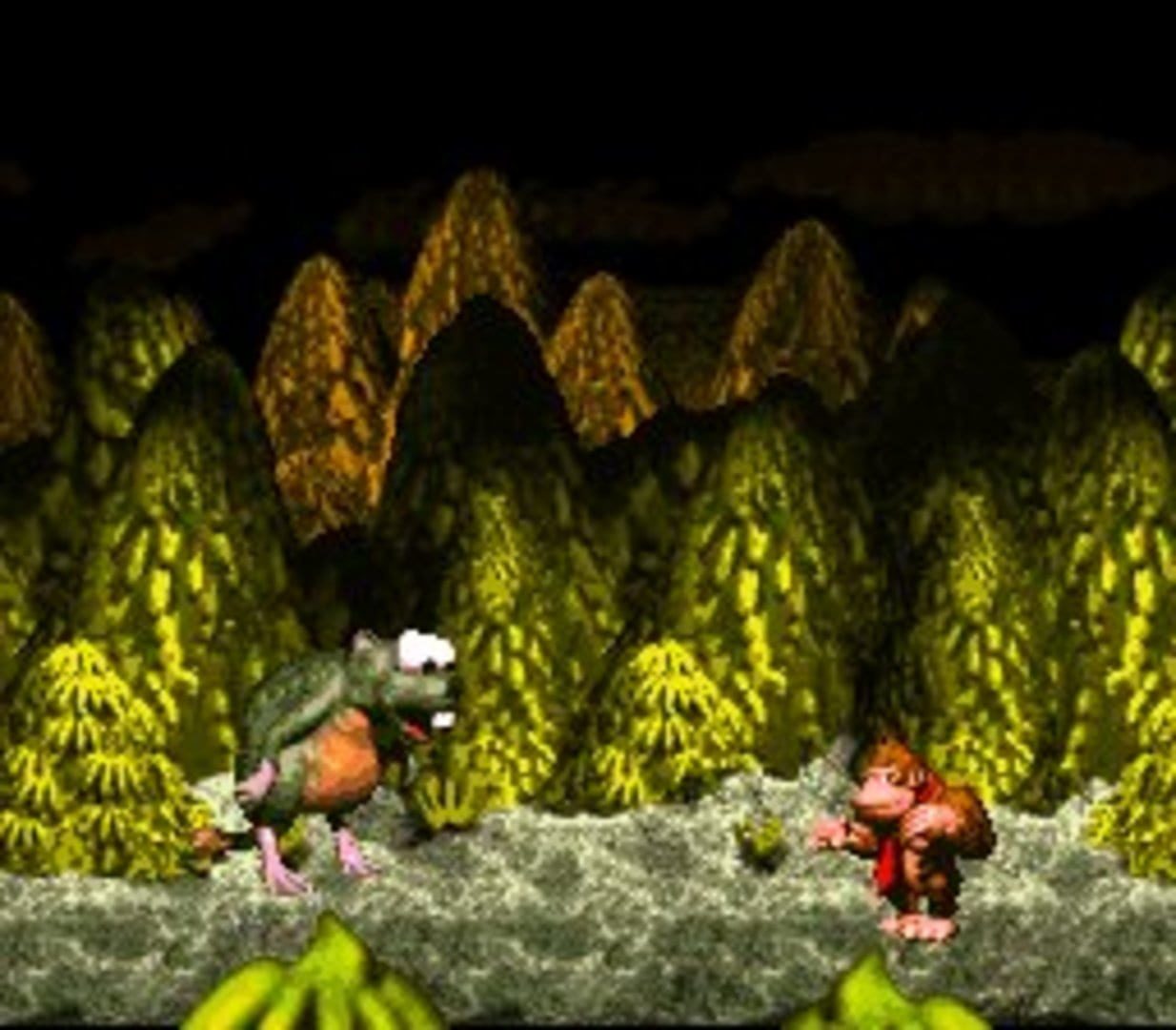 Bild från Donkey Kong Country