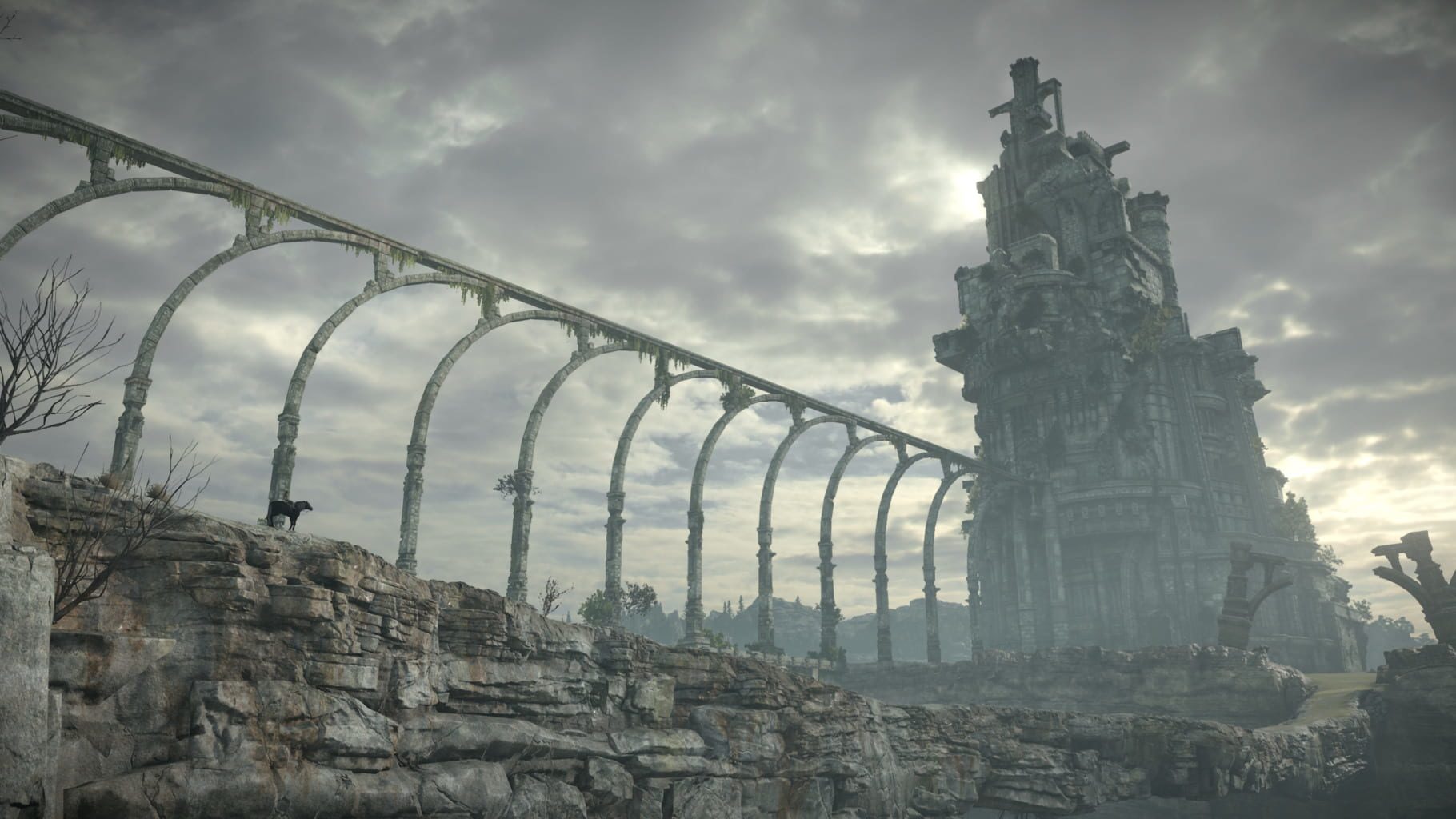 Bild från Shadow of the Colossus