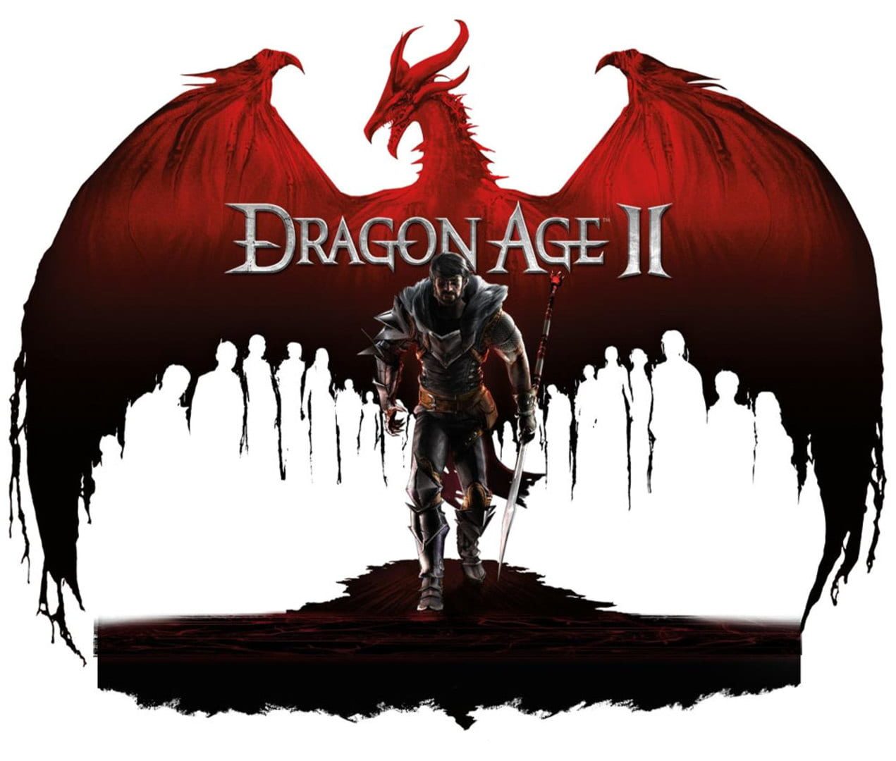 Bild från Dragon Age II