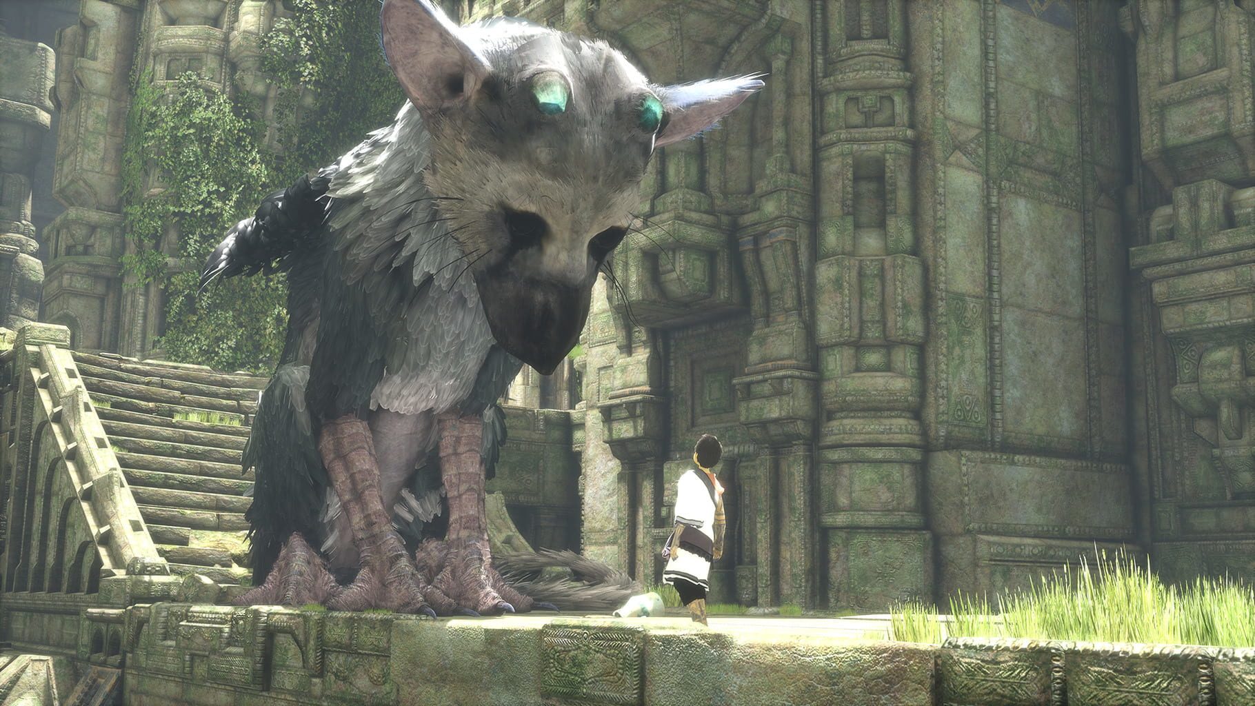 Bild från The Last Guardian