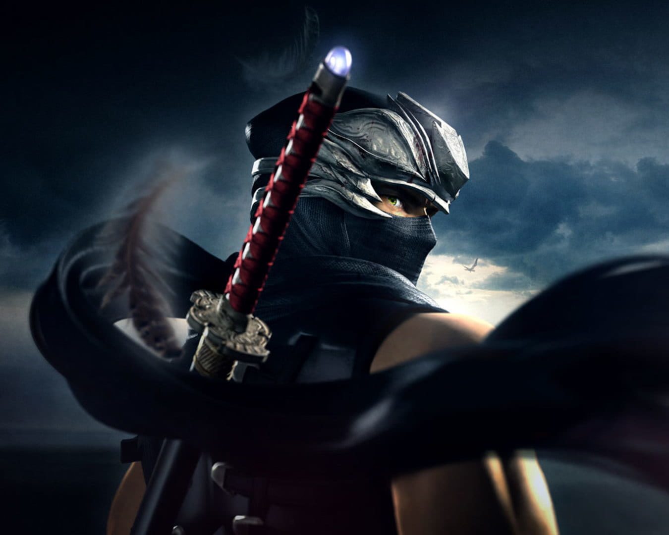 Bild från Ninja Gaiden Sigma 2