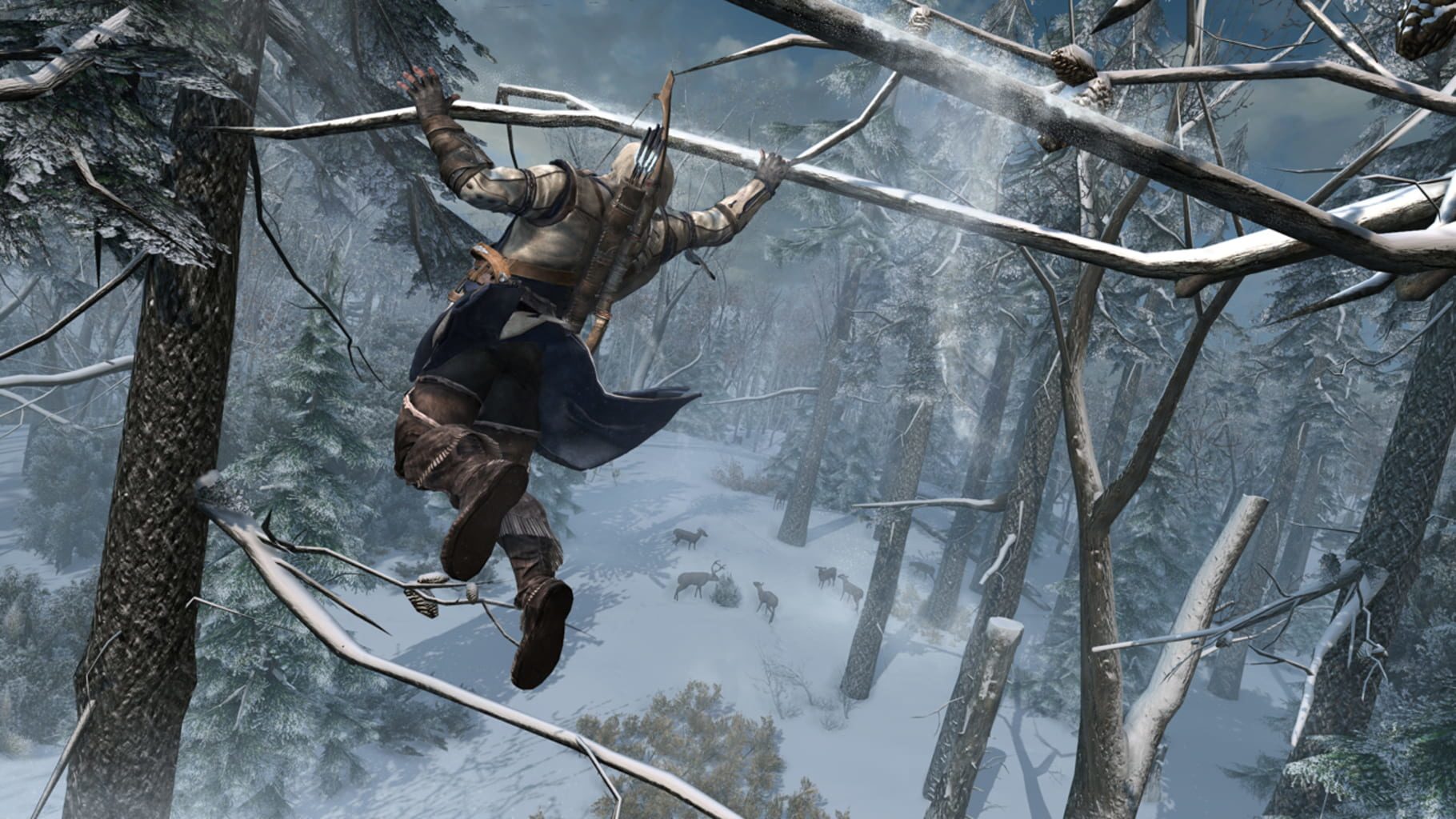 Bild från Assassin’s Creed III