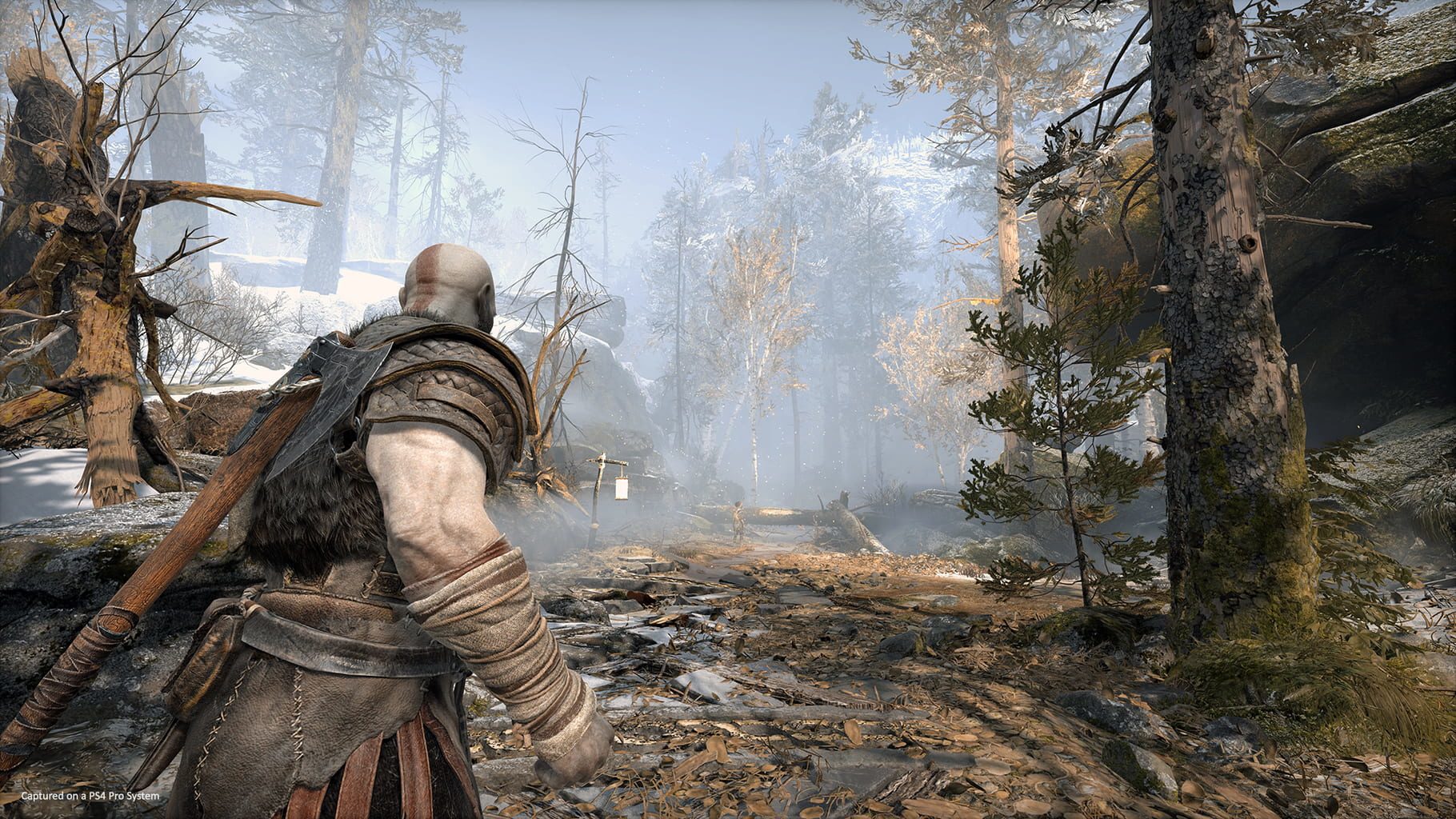 Bild från God of War