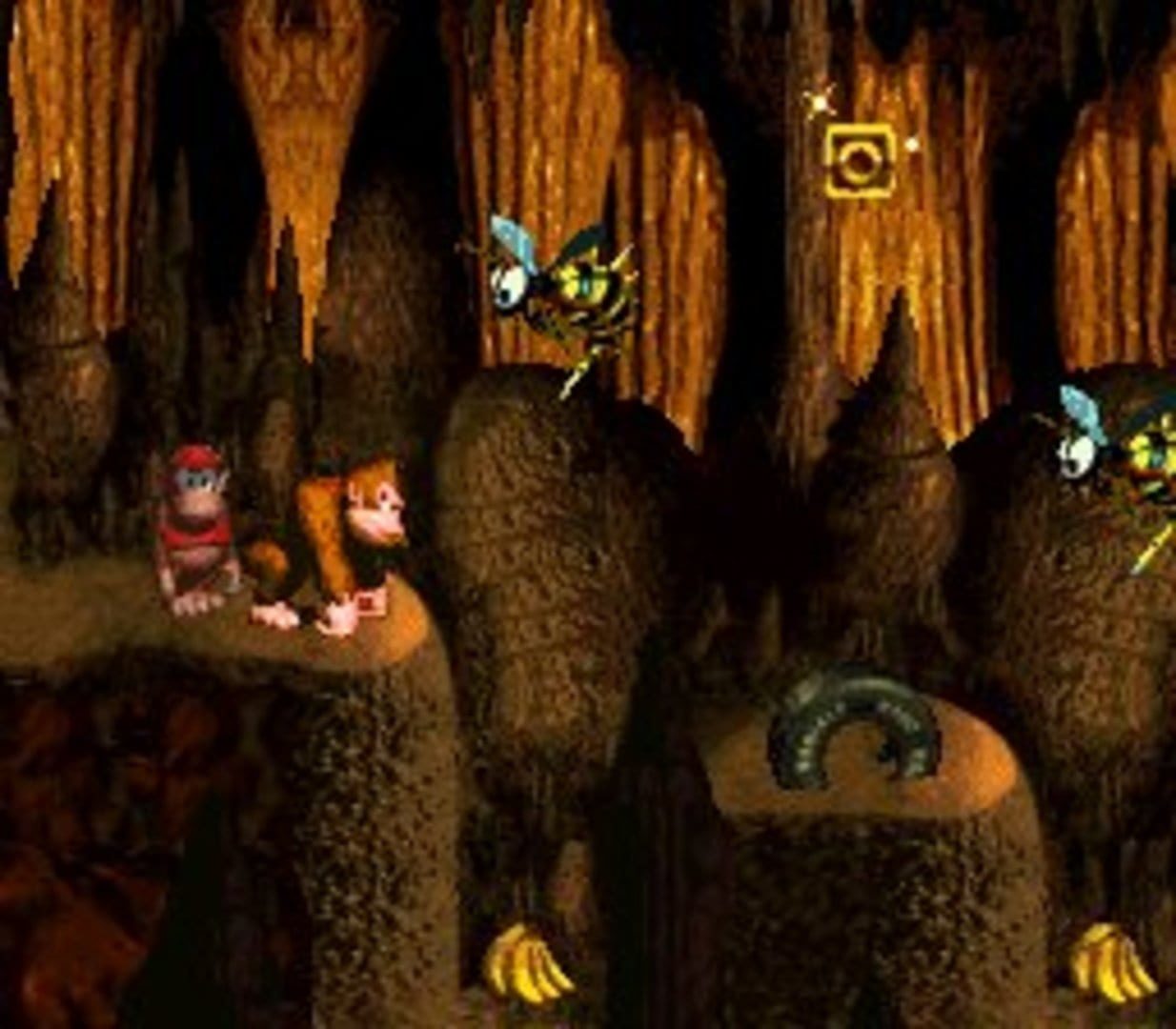 Bild från Donkey Kong Country