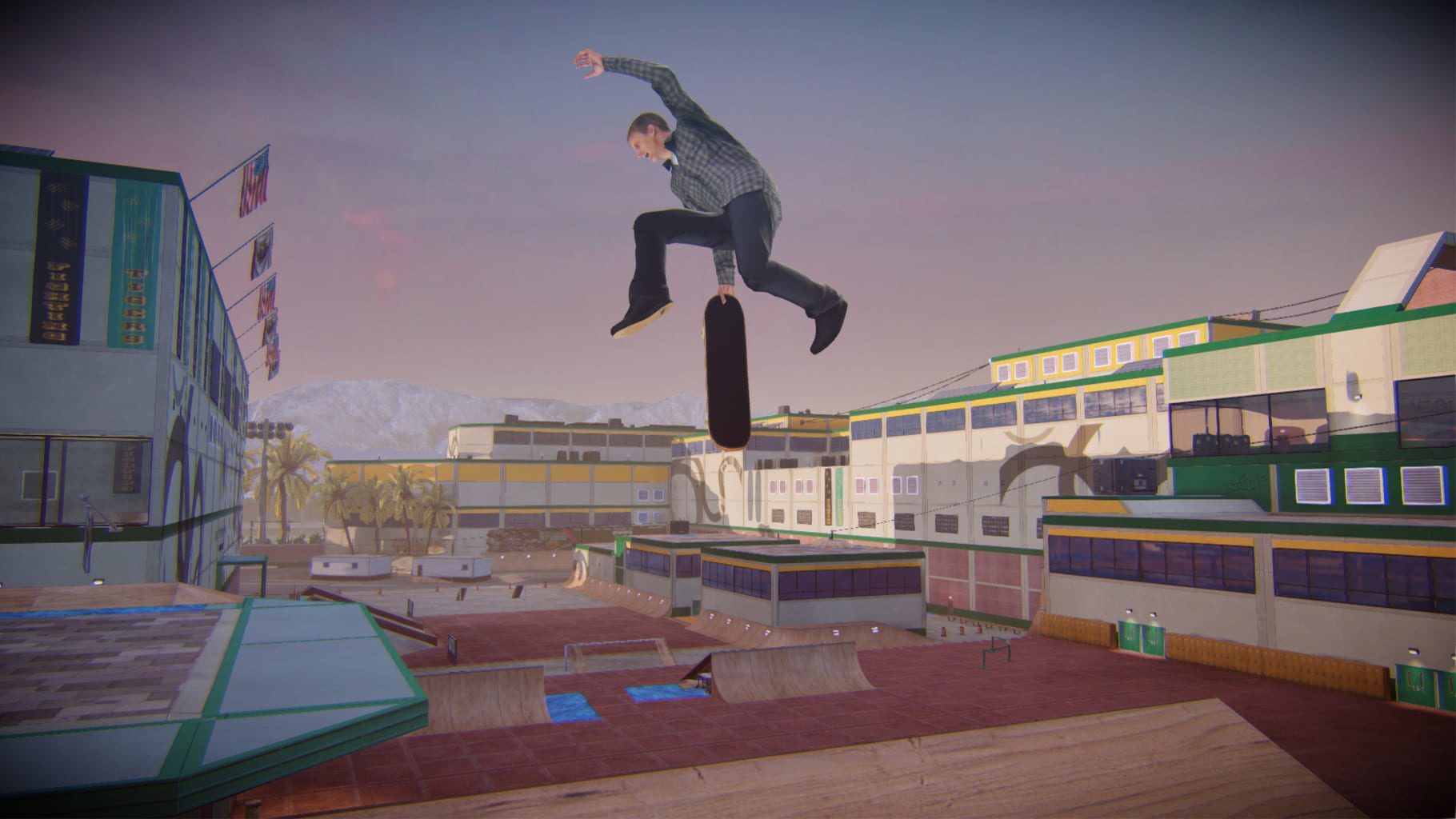 Bild från Tony Hawk’s Pro Skater 5