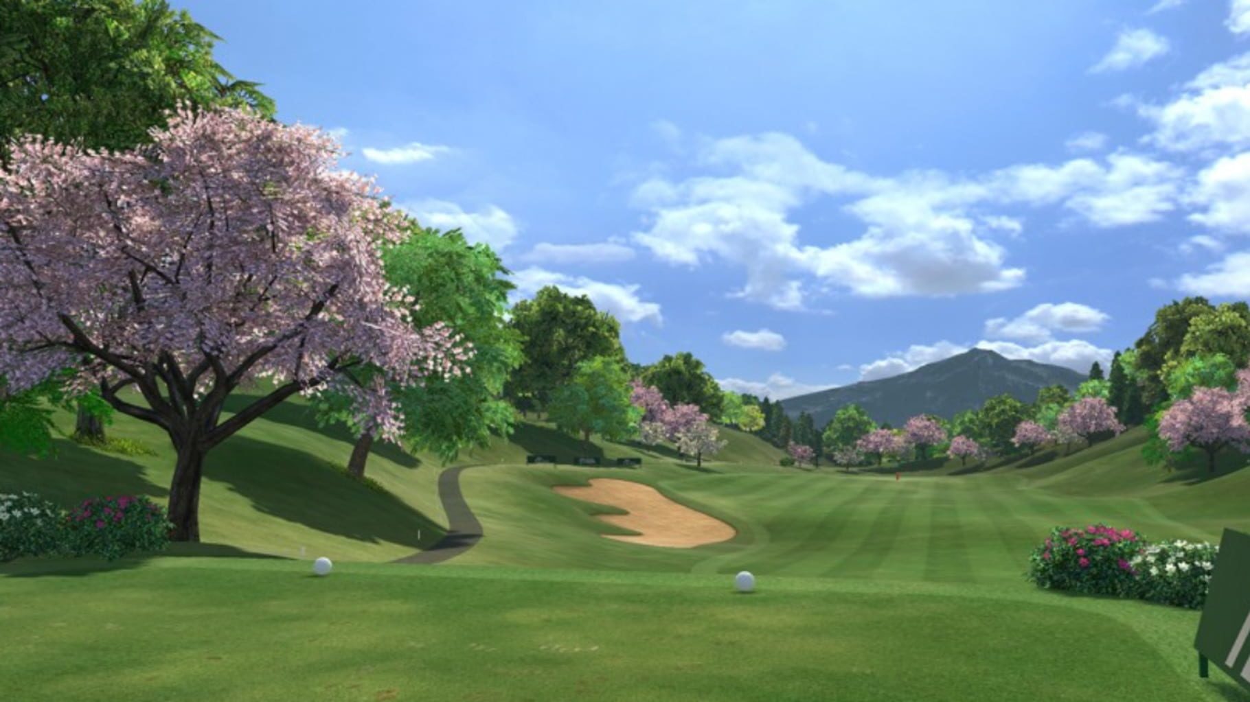 Bild från Everybody’s Golf VR