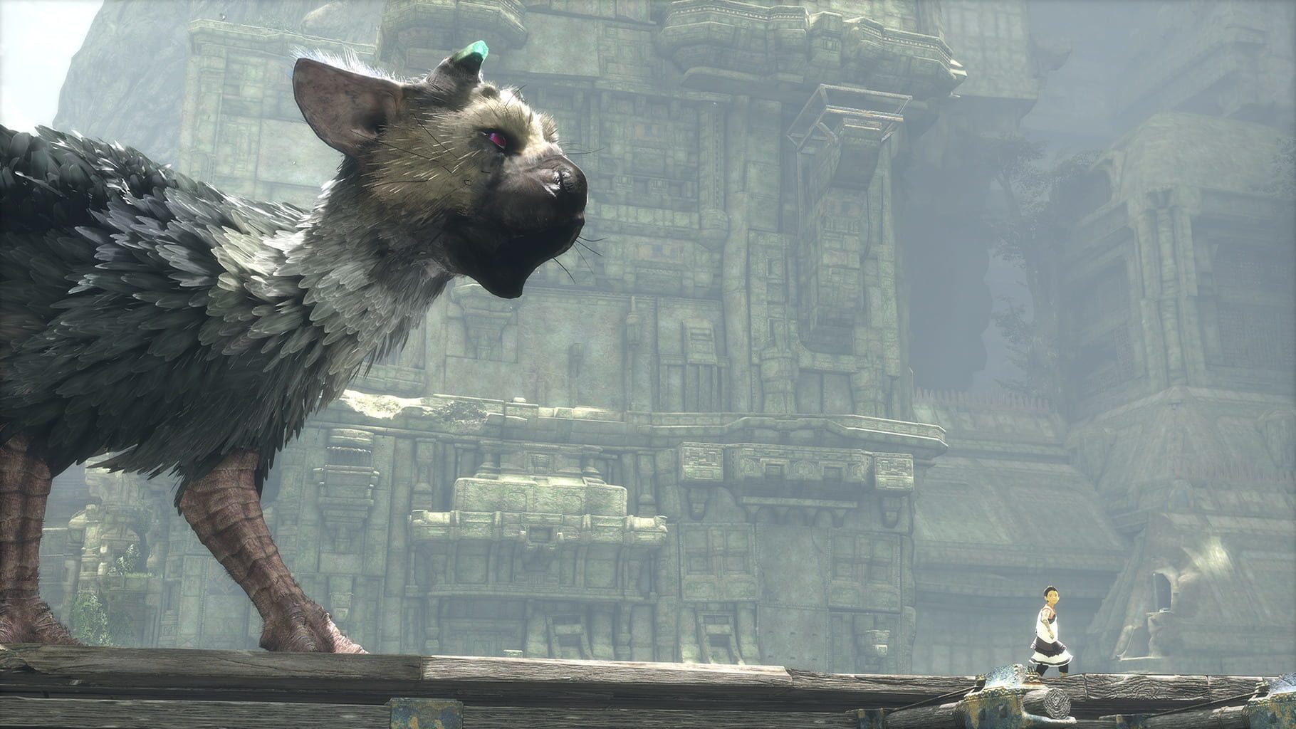 Bild från The Last Guardian