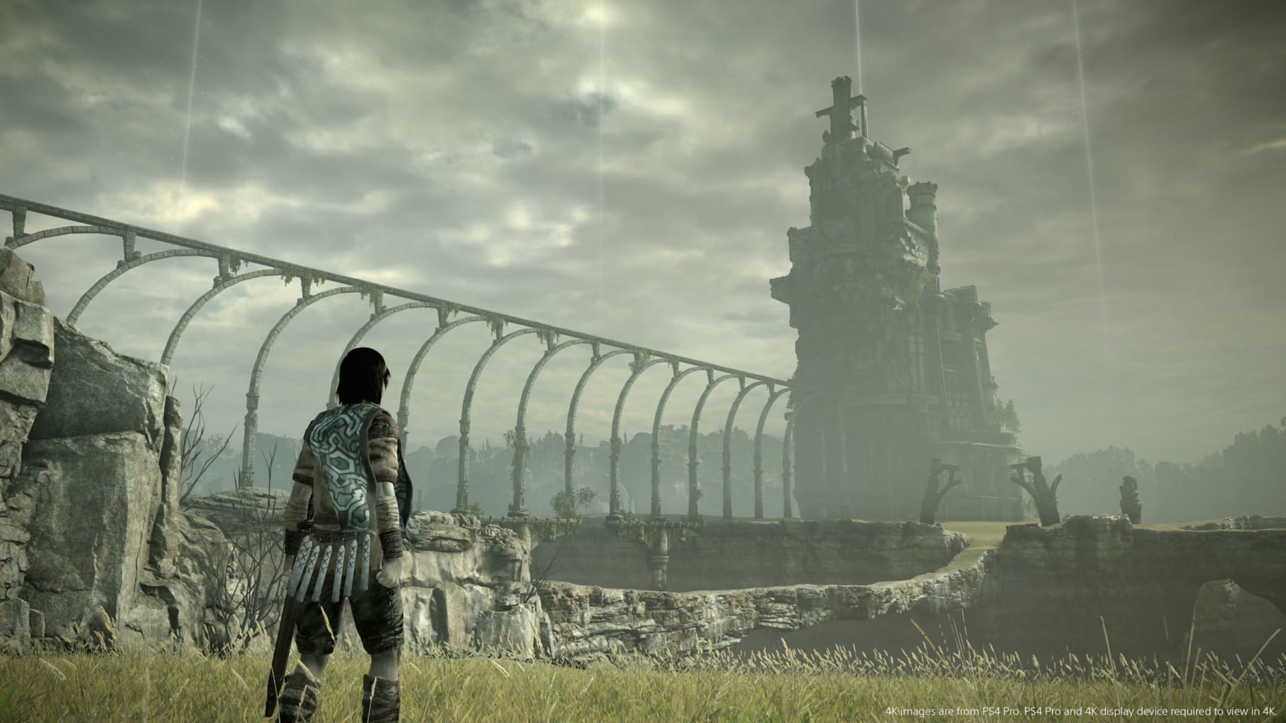 Bild från Shadow of the Colossus