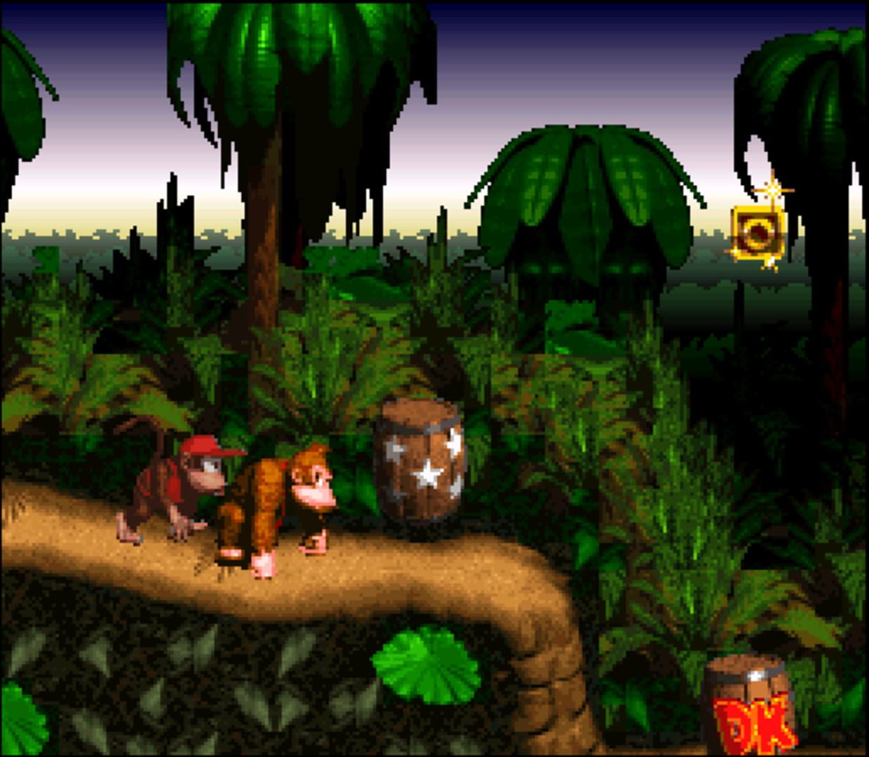 Bild från Donkey Kong Country