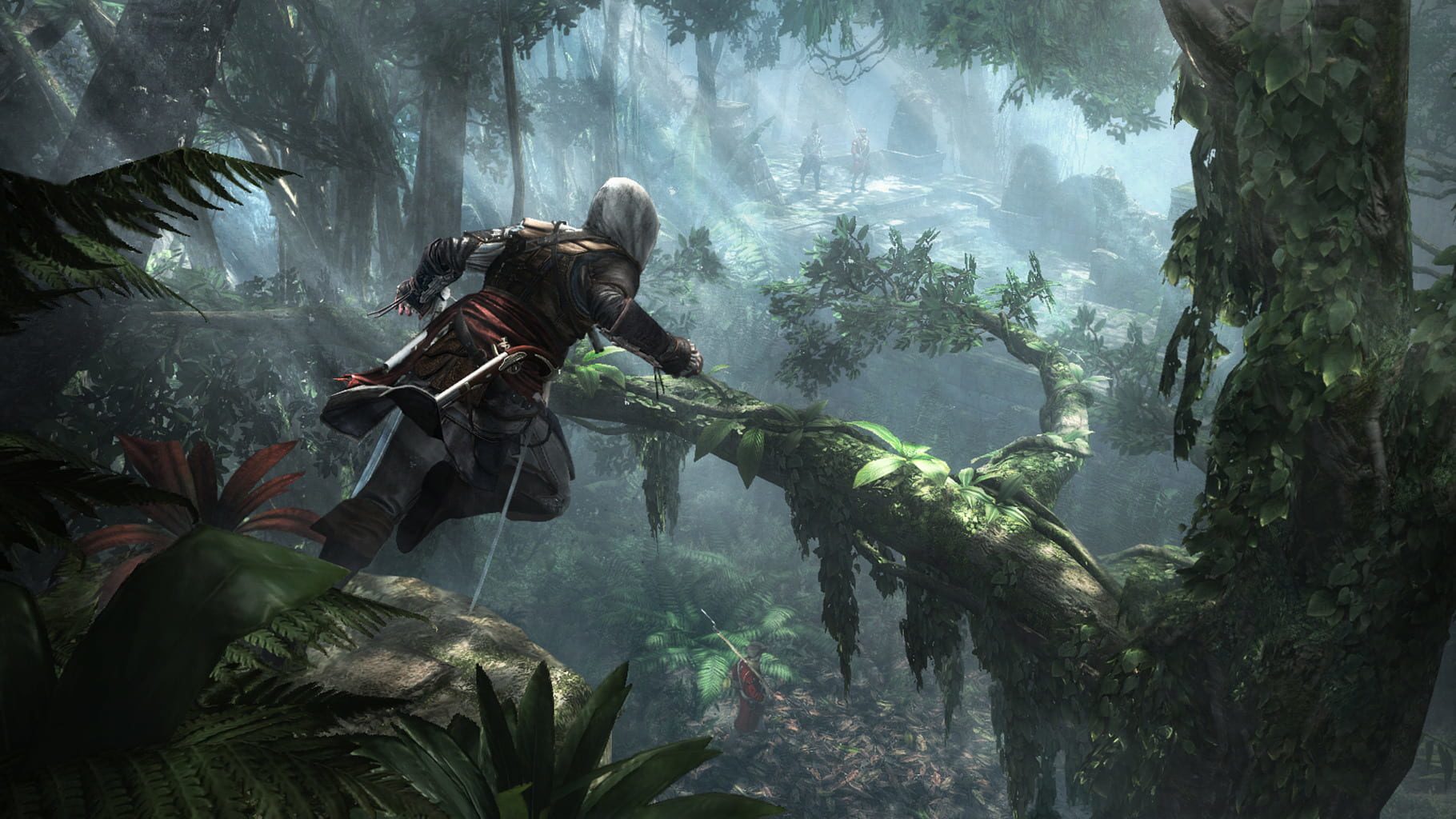 Bild från Assassin’s Creed IV: Black Flag