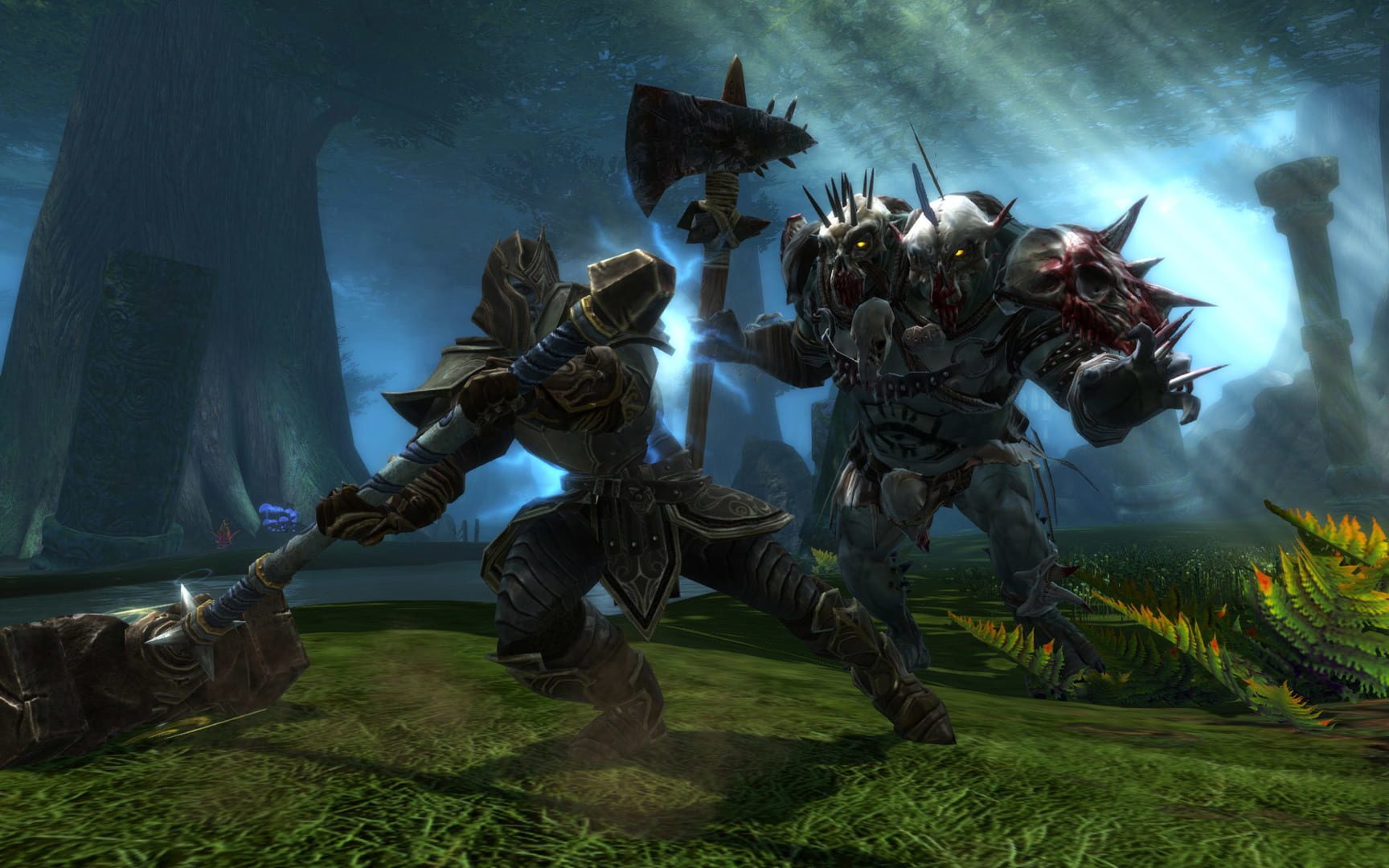 Bild från Kingdoms of Amalur: Reckoning