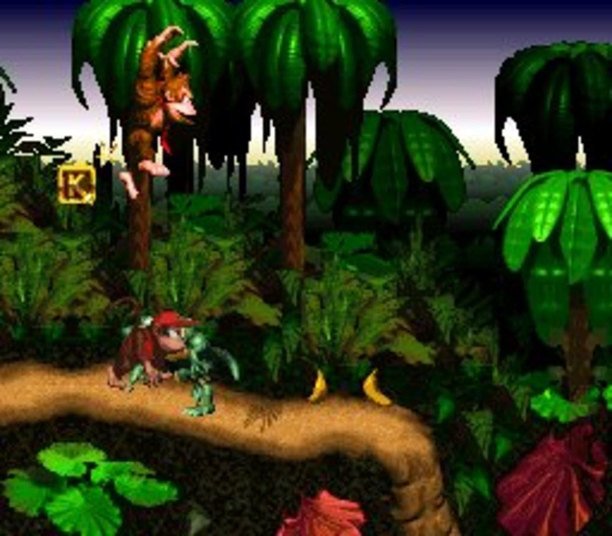 Bild från Donkey Kong Country