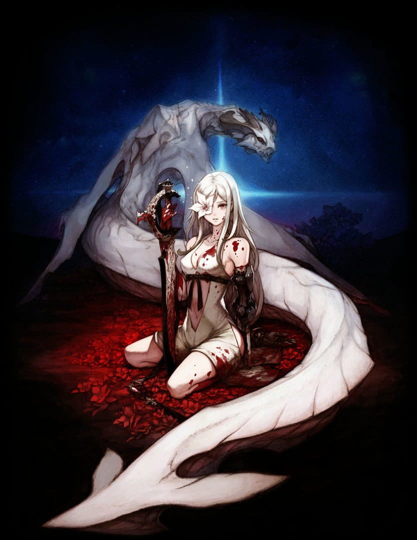 Bild från Drakengard 3