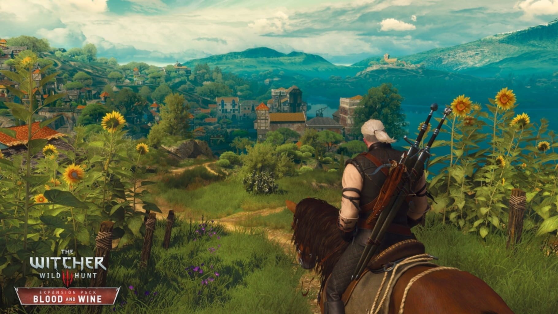 Bild från The Witcher 3: Wild Hunt – Game of the Year Edition