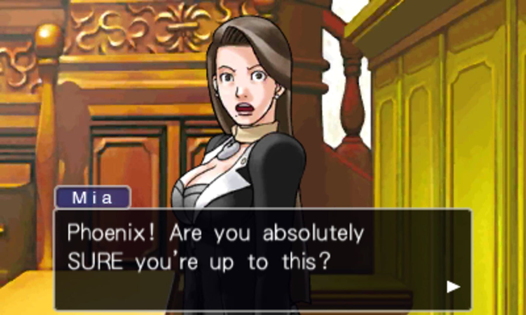 Bild från Phoenix Wright: Ace Attorney Trilogy