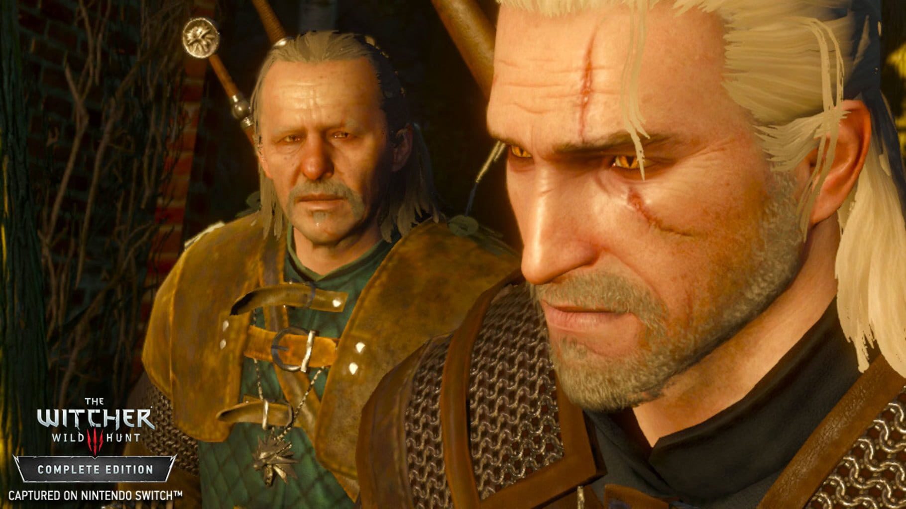 Bild från The Witcher 3: Wild Hunt – Complete Edition