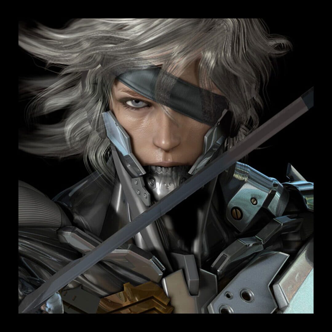 Bild från Metal Gear Rising: Revengeance