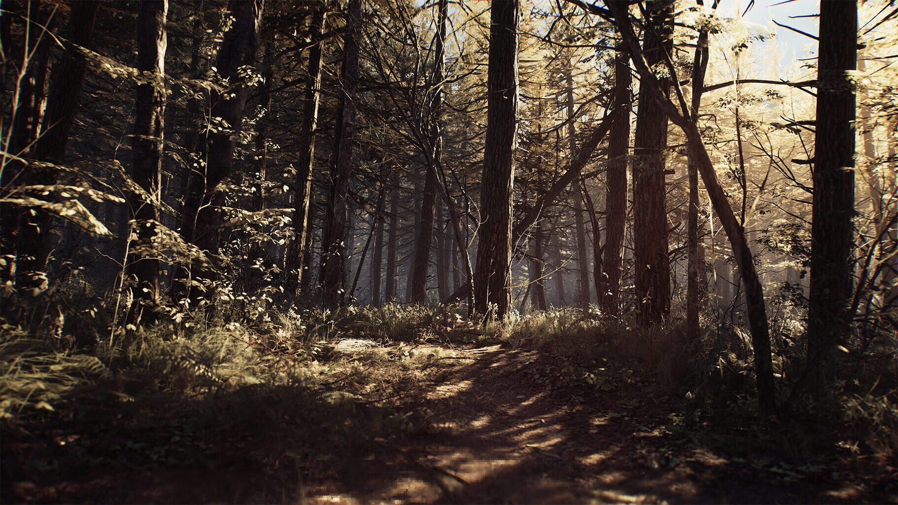 Bild från Blair Witch