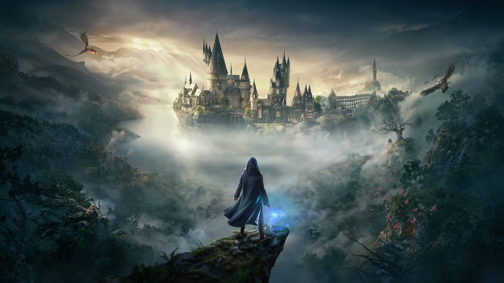 Bild från Hogwarts Legacy
