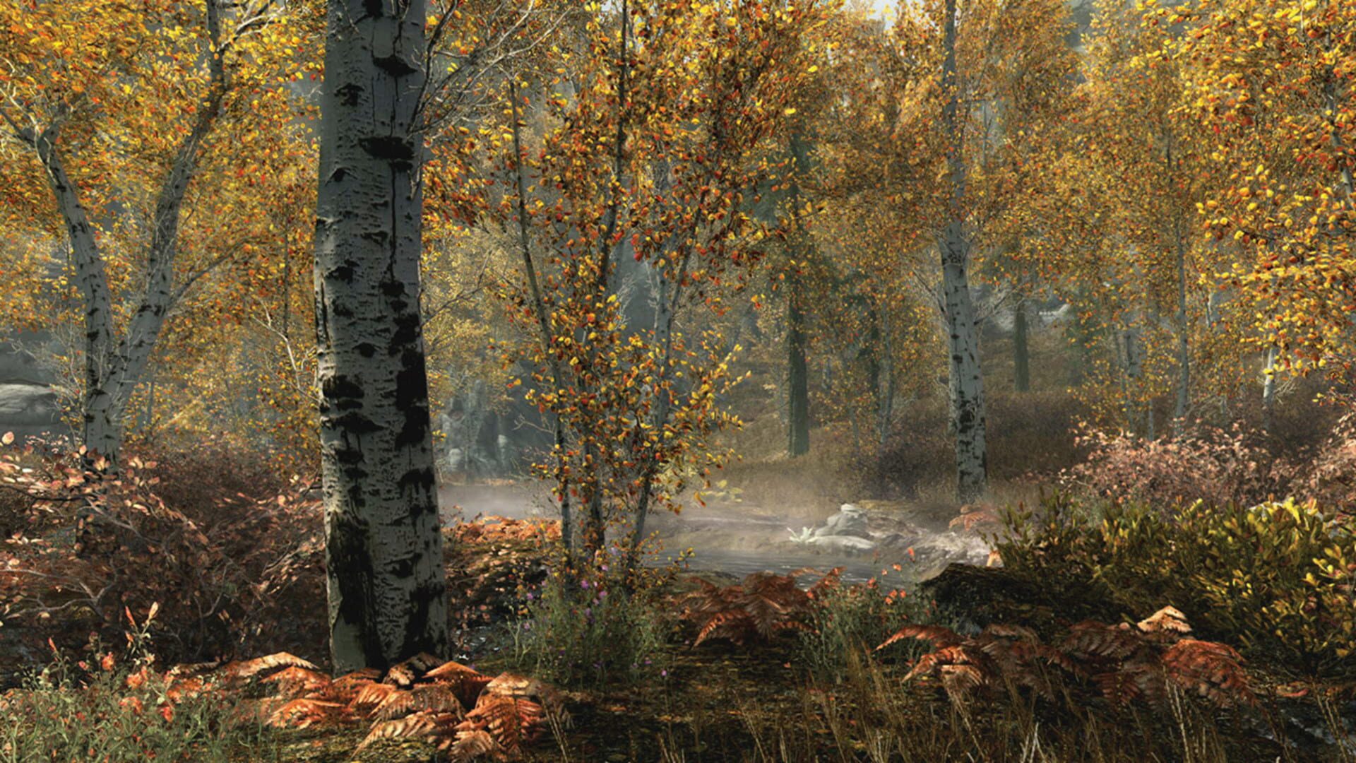 Bild från The Elder Scrolls V: Skyrim – Special Edition