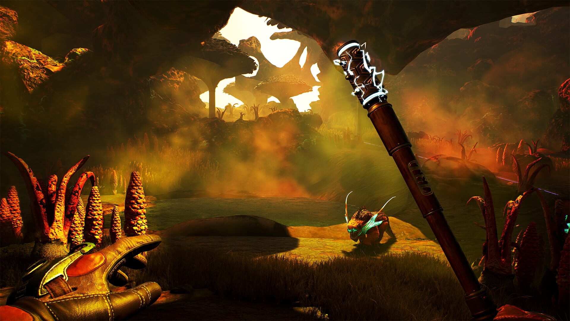 Bild från The Outer Worlds
